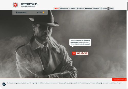 Detektywi do wynajęcia, jak wygląda współpraca?