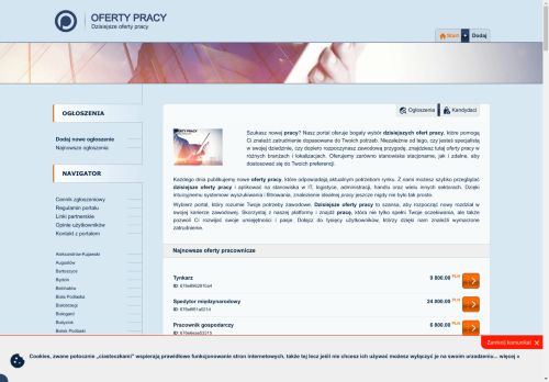 Oferty pracy, jakie są popularne zawody